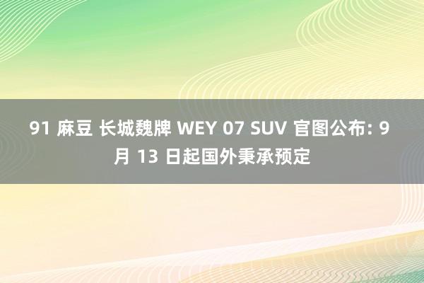 91 麻豆 长城魏牌 WEY 07 SUV 官图公布: 9 月 13 日起国外秉承预定