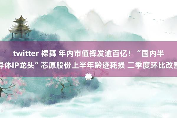 twitter 裸舞 年内市值挥发逾百亿！“国内半导体IP龙头”芯原股份上半年龄迹耗损 二季度环比改善