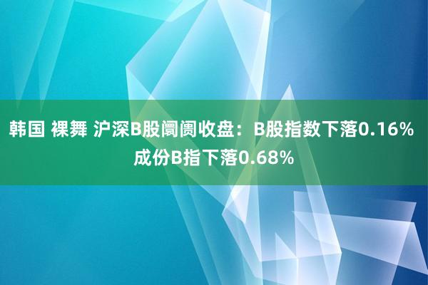 韩国 裸舞 沪深B股阛阓收盘：B股指数下落0.16% 成份B指下落0.68%