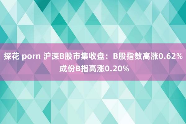 探花 porn 沪深B股市集收盘：B股指数高涨0.62% 成份B指高涨0.20%