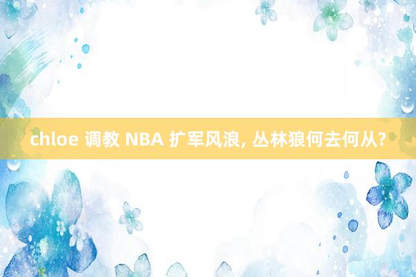 chloe 调教 NBA 扩军风浪， 丛林狼何去何从?