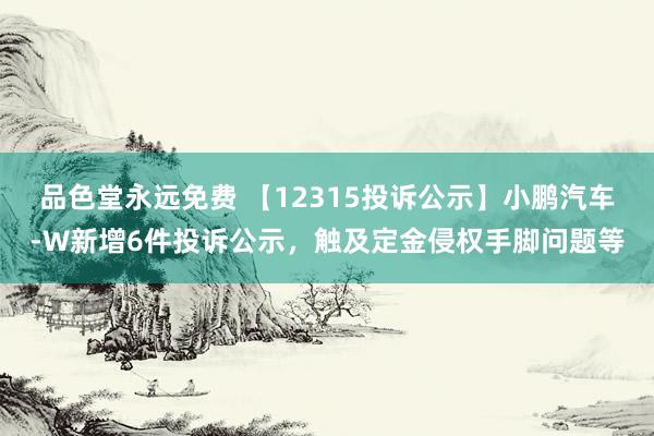 品色堂永远免费 【12315投诉公示】小鹏汽车-W新增6件投诉公示，触及定金侵权手脚问题等