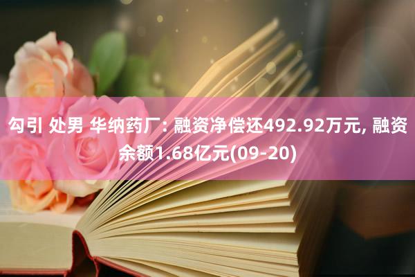 勾引 处男 华纳药厂: 融资净偿还492.92万元， 融资余额1.68亿元(09-20)