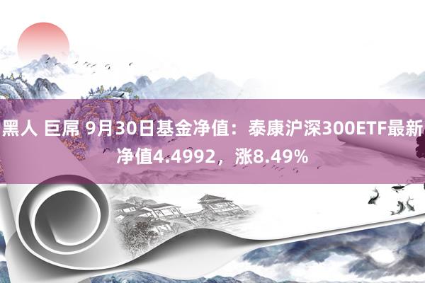 黑人 巨屌 9月30日基金净值：泰康沪深300ETF最新净值4.4992，涨8.49%