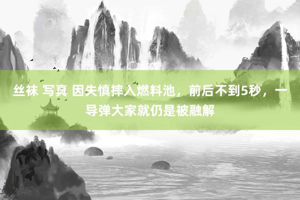 丝袜 写真 因失慎摔入燃料池，前后不到5秒，一导弹大家就仍是被融解