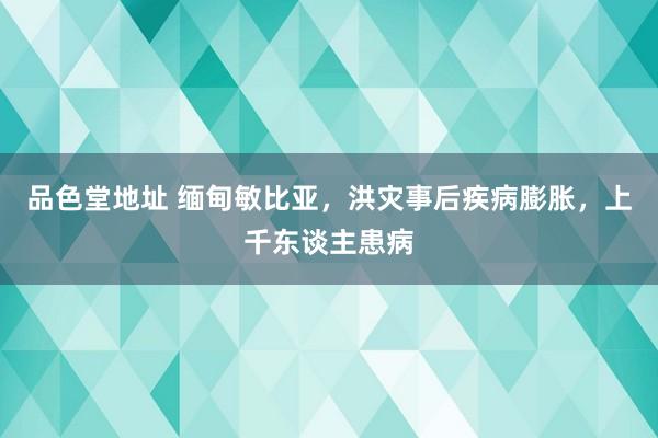 品色堂地址 缅甸敏比亚，洪灾事后疾病膨胀，上千东谈主患病