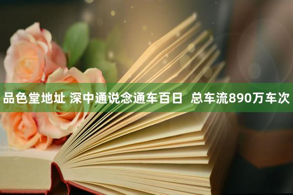 品色堂地址 深中通说念通车百日  总车流890万车次