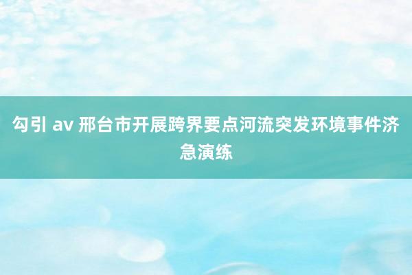 勾引 av 邢台市开展跨界要点河流突发环境事件济急演练