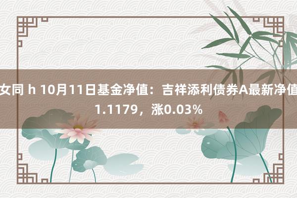 女同 h 10月11日基金净值：吉祥添利债券A最新净值1.1179，涨0.03%