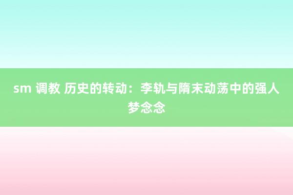 sm 调教 历史的转动：李轨与隋末动荡中的强人梦念念