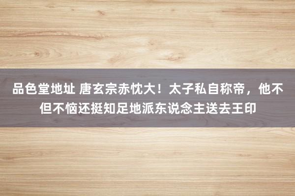 品色堂地址 唐玄宗赤忱大！太子私自称帝，他不但不恼还挺知足地派东说念主送去王印