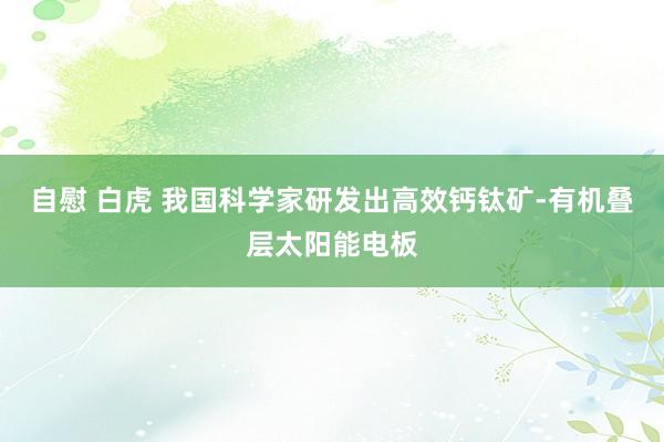 自慰 白虎 我国科学家研发出高效钙钛矿-有机叠层太阳能电板