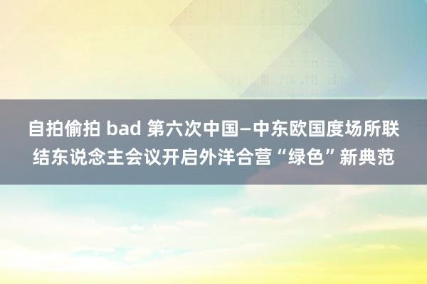 自拍偷拍 bad 第六次中国—中东欧国度场所联结东说念主会议开启外洋合营“绿色”新典范