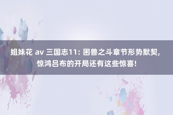 姐妹花 av 三国志11: 困兽之斗章节形势默契， 惊鸿吕布的开局还有这些惊喜!