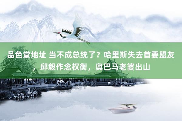 品色堂地址 当不成总统了？哈里斯失去首要盟友，邱毅作念权衡，奥巴马老婆出山