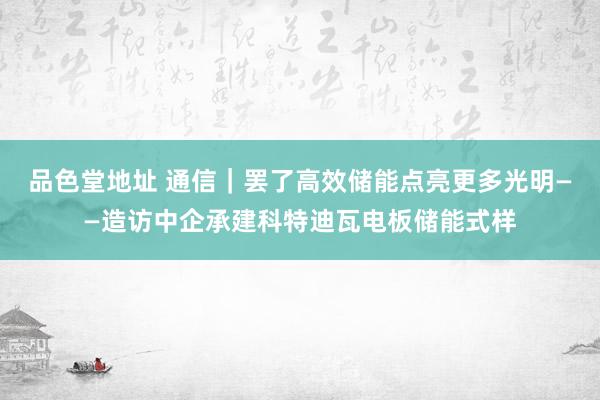 品色堂地址 通信｜罢了高效储能　点亮更多光明——造访中企承建科特迪瓦电板储能式样