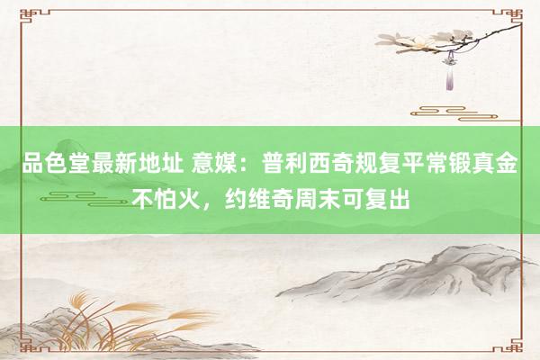 品色堂最新地址 意媒：普利西奇规复平常锻真金不怕火，约维奇周末可复出