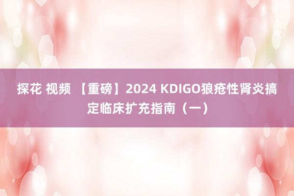 探花 视频 【重磅】2024 KDIGO狼疮性肾炎搞定临床扩充指南（一）