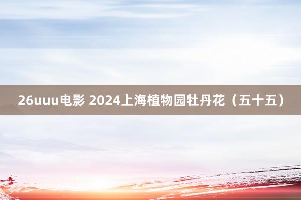 26uuu电影 2024上海植物园牡丹花（五十五）