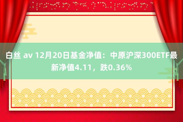 白丝 av 12月20日基金净值：中原沪深300ETF最新净值4.11，跌0.36%