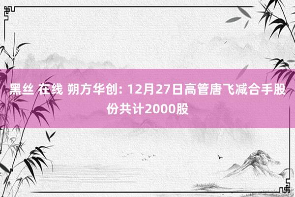 黑丝 在线 朔方华创: 12月27日高管唐飞减合手股份共计2000股