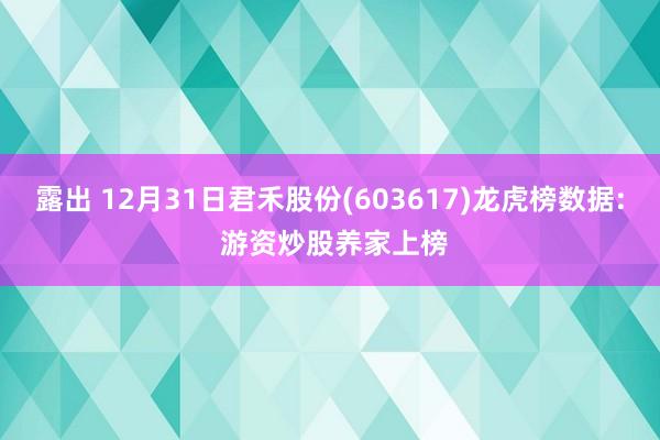 露出 12月31日君禾股份(603617)龙虎榜数据: 游资炒股养家上榜