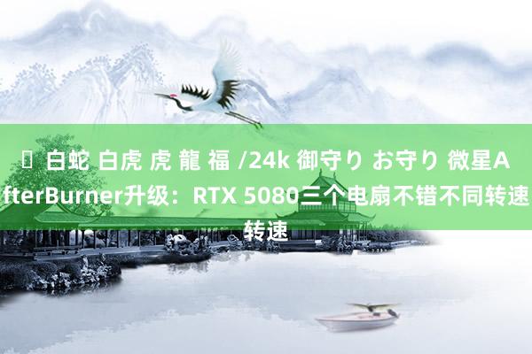 ✨白蛇 白虎 虎 龍 福 /24k 御守り お守り 微星AfterBurner升级：RTX 5080三个电扇不错不同转速