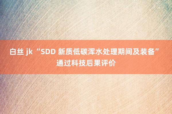 白丝 jk “SDD 新质低碳浑水处理期间及装备” 通过科技后果评价