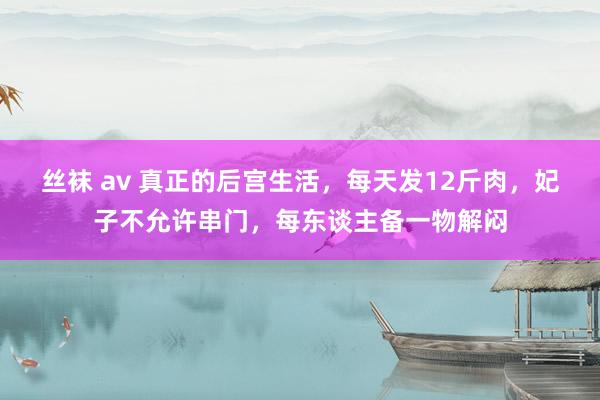 丝袜 av 真正的后宫生活，每天发12斤肉，妃子不允许串门，每东谈主备一物解闷