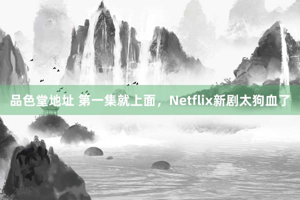 品色堂地址 第一集就上面，Netflix新剧太狗血了