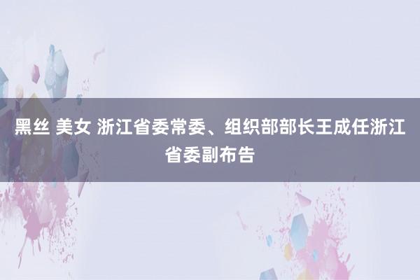 黑丝 美女 浙江省委常委、组织部部长王成任浙江省委副布告