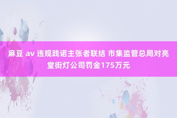 麻豆 av 违规践诺主张者联结 市集监管总局对亮堂街灯公司罚金175万元