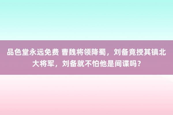 品色堂永远免费 曹魏将领降蜀，刘备竟授其镇北大将军，刘备就不怕他是间谍吗？