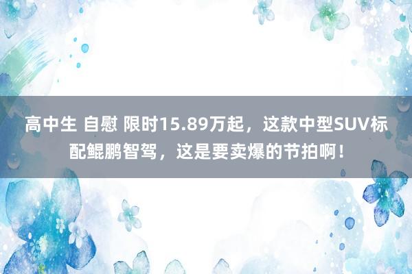 高中生 自慰 限时15.89万起，这款中型SUV标配鲲鹏智驾，这是要卖爆的节拍啊！